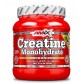 Amix, Creatine Monohydrat, 500g 