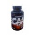Extreme&Fit, BCAA 4:1:1 500 mg, 250 tbl